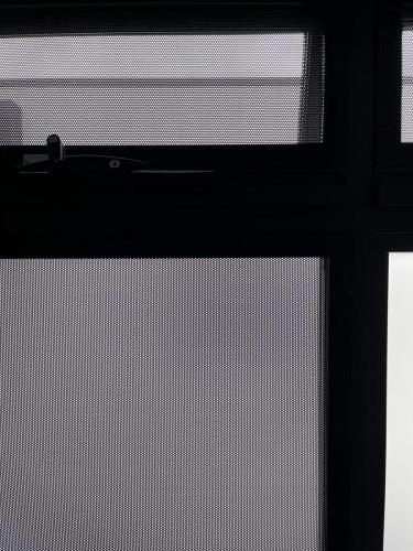 Security window screens